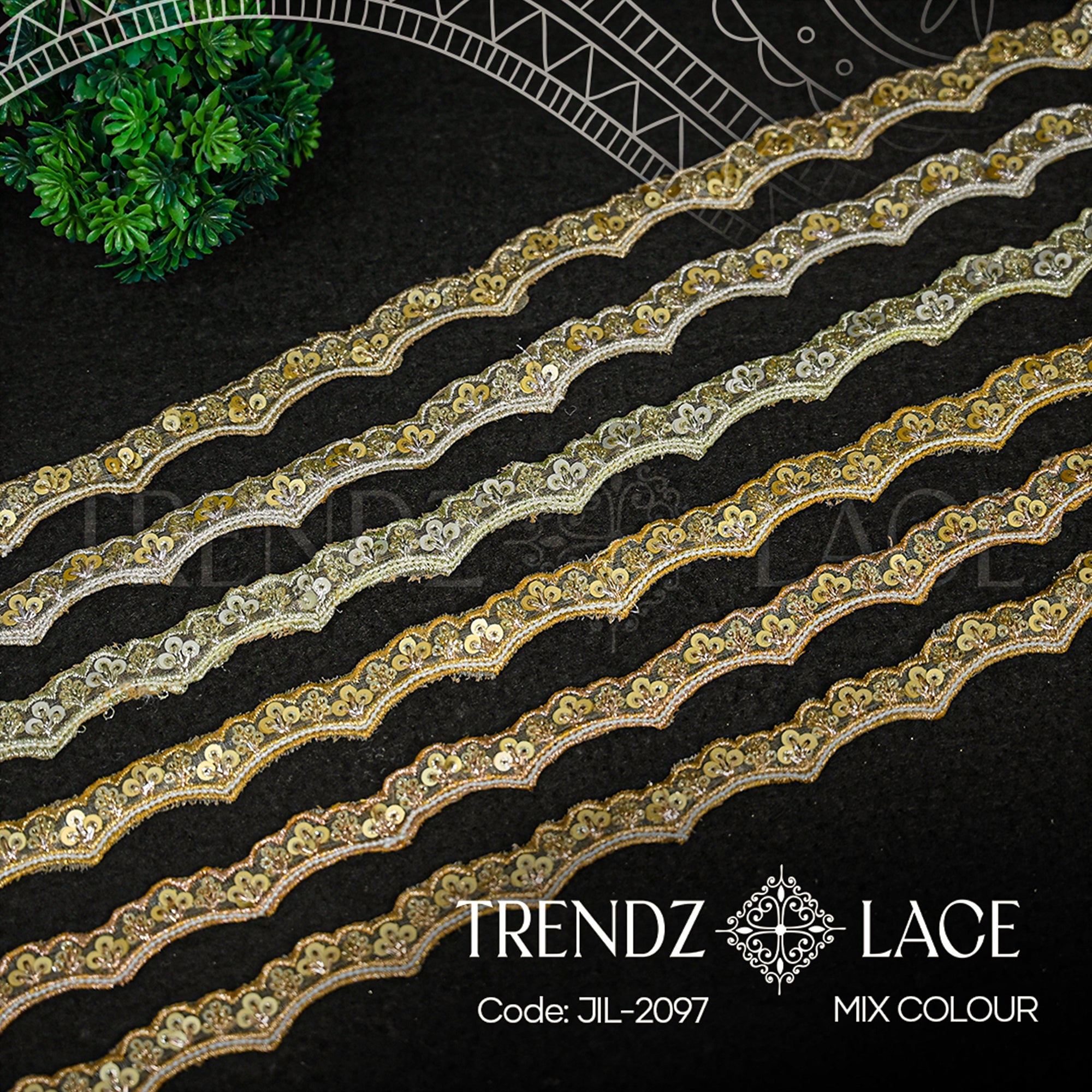 Fancy Lace: JIL-2097 - 9 MTR | Trendz Lace