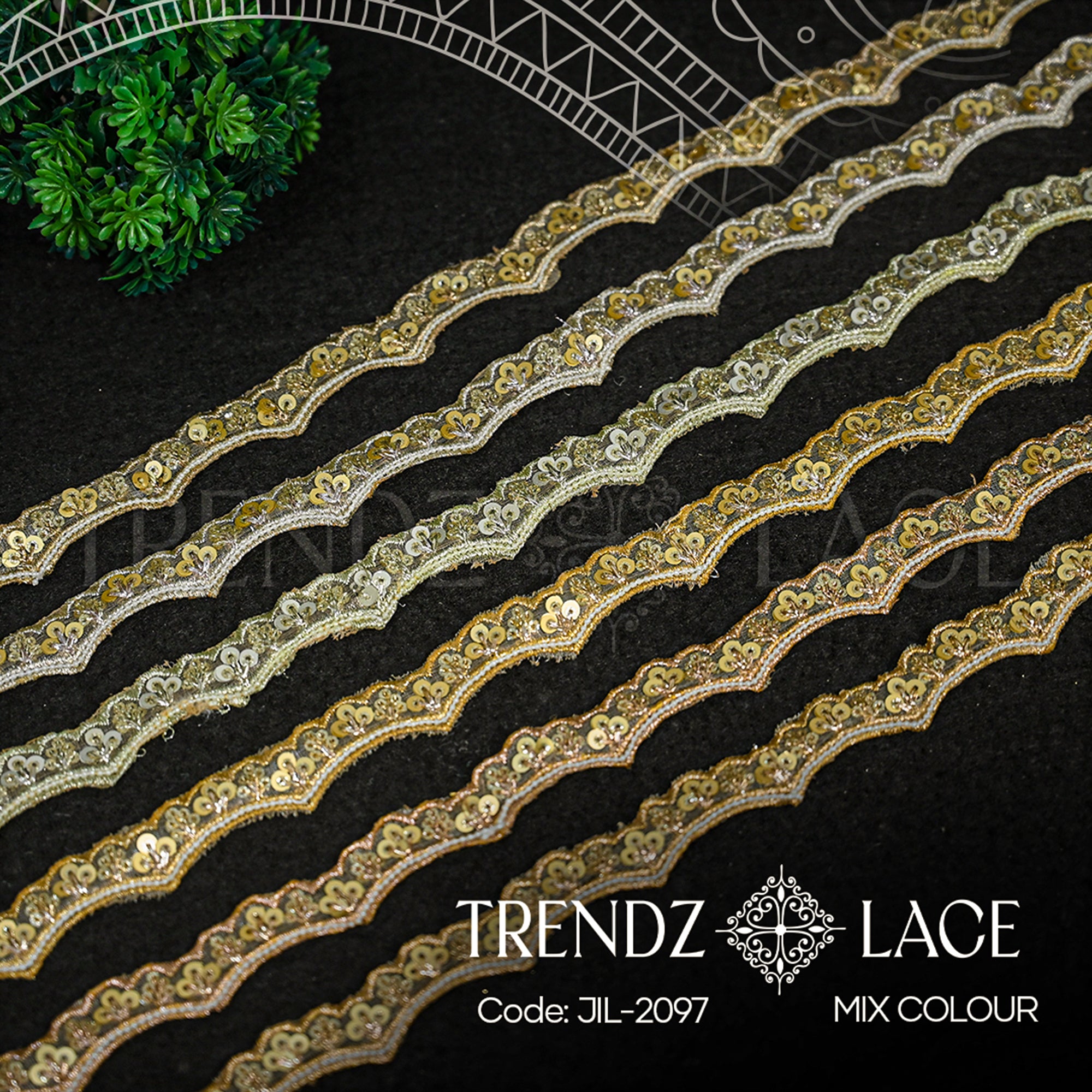 Fancy Lace: JIL-2097 - 9 MTR | Trendz Lace